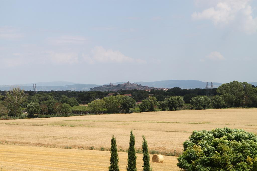 Agriturismo Verbena Castiglione del Lago Exteriör bild