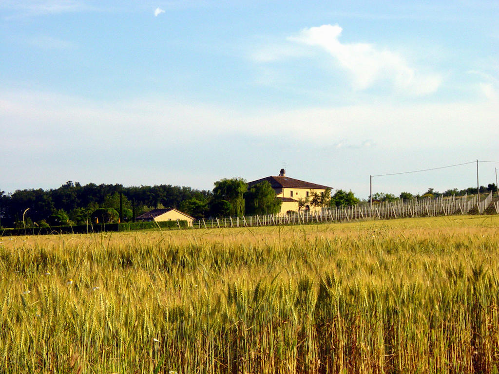 Agriturismo Verbena Castiglione del Lago Exteriör bild