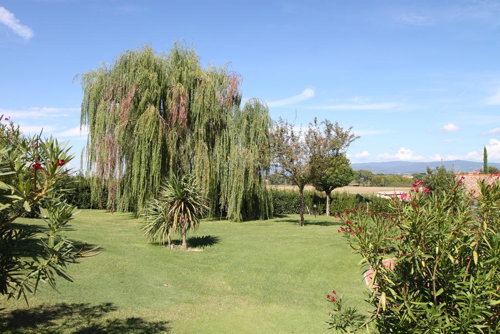 Agriturismo Verbena Castiglione del Lago Exteriör bild