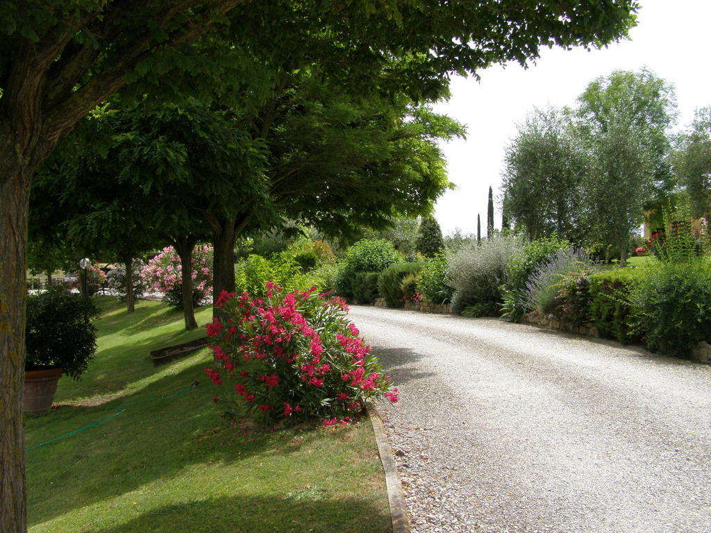 Agriturismo Verbena Castiglione del Lago Exteriör bild